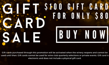 $100 Gift Card Promotion