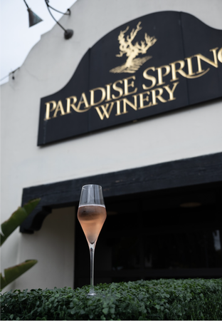 May 2025 Wine Club Pickup Party